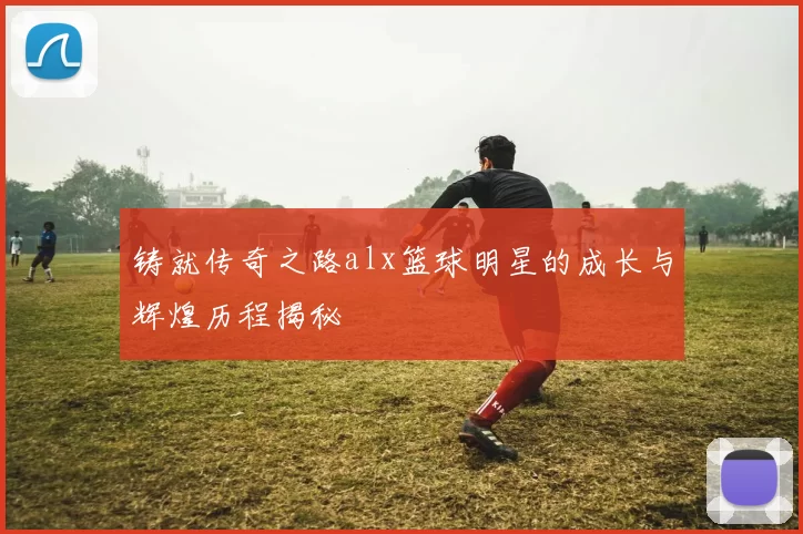 铸就传奇之路alx篮球明星的成长与辉煌历程揭秘