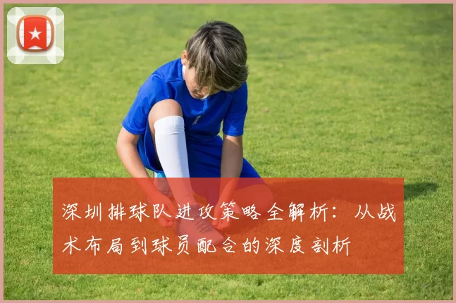 深圳排球队进攻策略全解析：从战术布局到球员配合的深度剖析