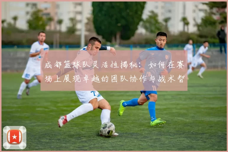 成都篮球队灵活性揭秘：如何在赛场上展现卓越的团队协作与战术智慧MBA