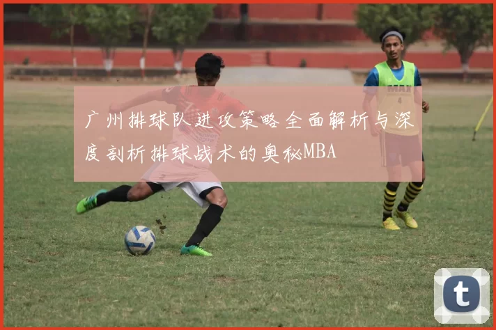 广州排球队进攻策略全面解析与深度剖析排球战术的奥秘MBA