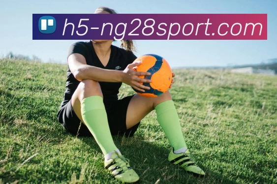 南宫28发展历程